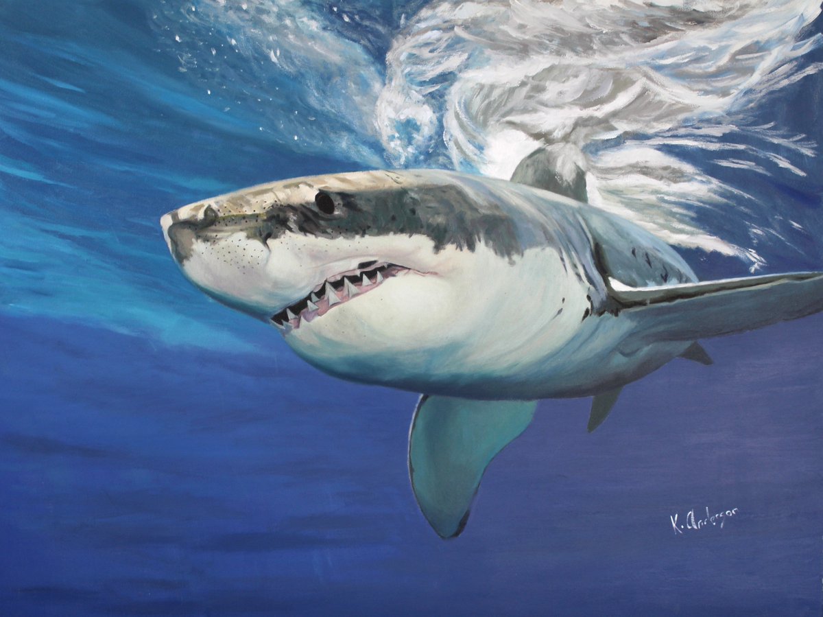 Today marks the 50th anniversary of the movie Jaws. An all time classic made before special effects were actually special ! 
This is a large oil on canvas I painted a few years back and still one of my favourites.