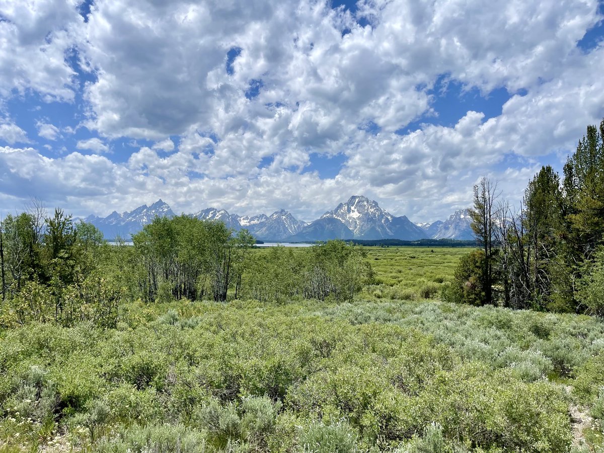 Another view of Teton mountain. 😎