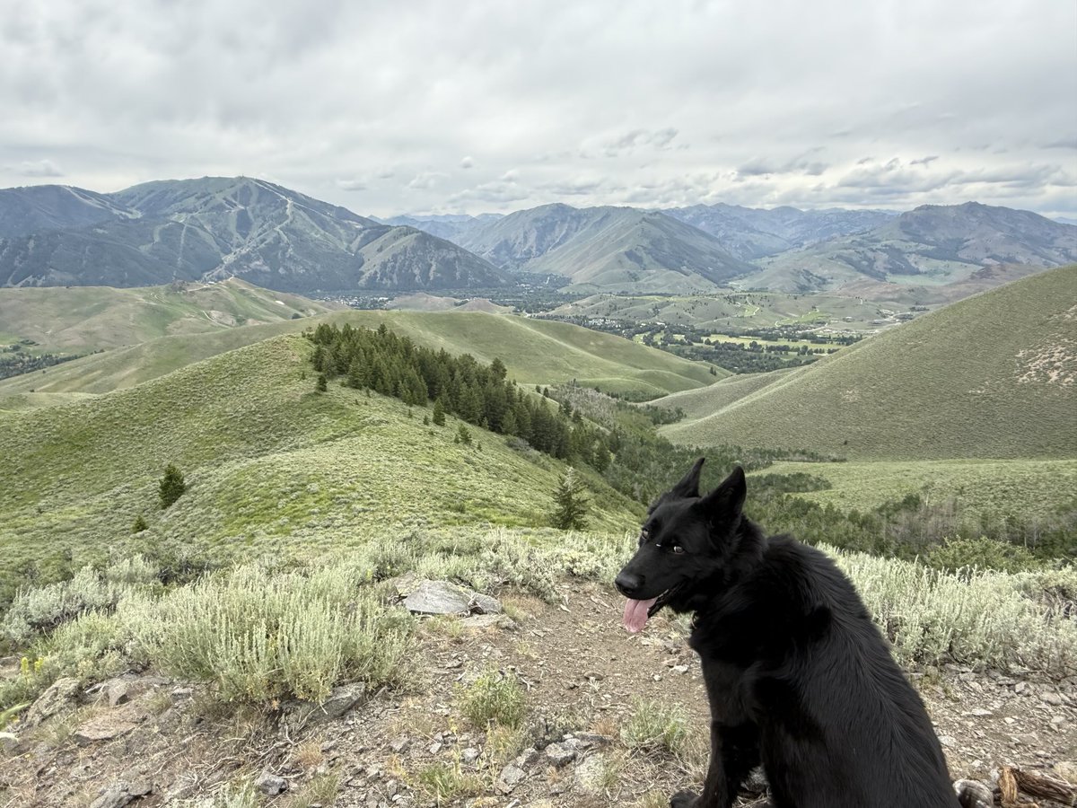 Happy Summer Solstice from Idaho!