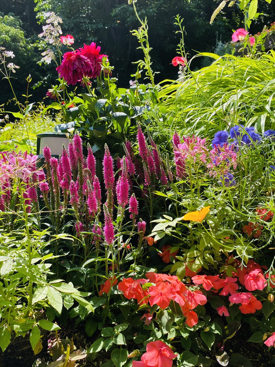 kojg5963kojg's tweet image. おはようございます😆🌈✨
希望の朝のはじまりです🍀🌿
🌸🌸💐💐🌷🌷🌼🌼🌺🌺
様々な所で見かけるQRコードは囲碁をヒントに日本人が発明しました😄✨✨
🍀🍀🌿🌿🌼🌼🌺🌺💐💐✨
本日も熱中症に気をつけて笑顔溢れる素敵な1日をお過ごしくださいね💐💐🍀🍀🌿🌿✨✨