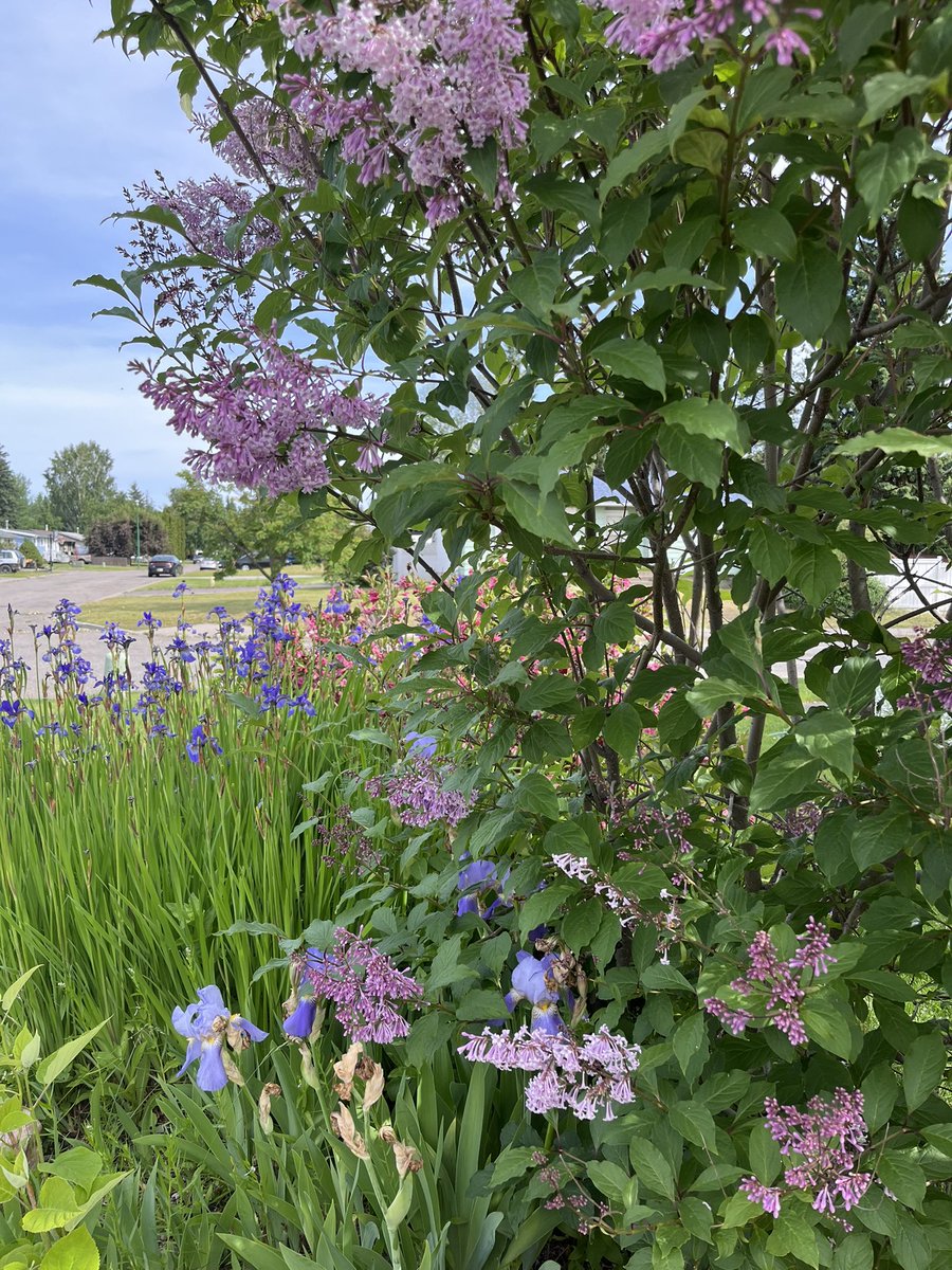Today’s #patiopic. Hello Friday!! I’m feeling aligned, rested, and joyful. Live your best life. Be happy. Love the little things.