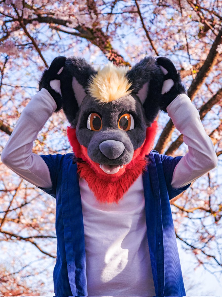 Ears up, vibes high, it's #FursuitFriday time! 🐾✨

📸 <a href="/luckybluefox/">Lucky</a> 
🖼️✏️ <a href="/darkDrakee/">Drakee</a> 
🧵 <a href="/VarrosCreations/">Varro's Creations</a>