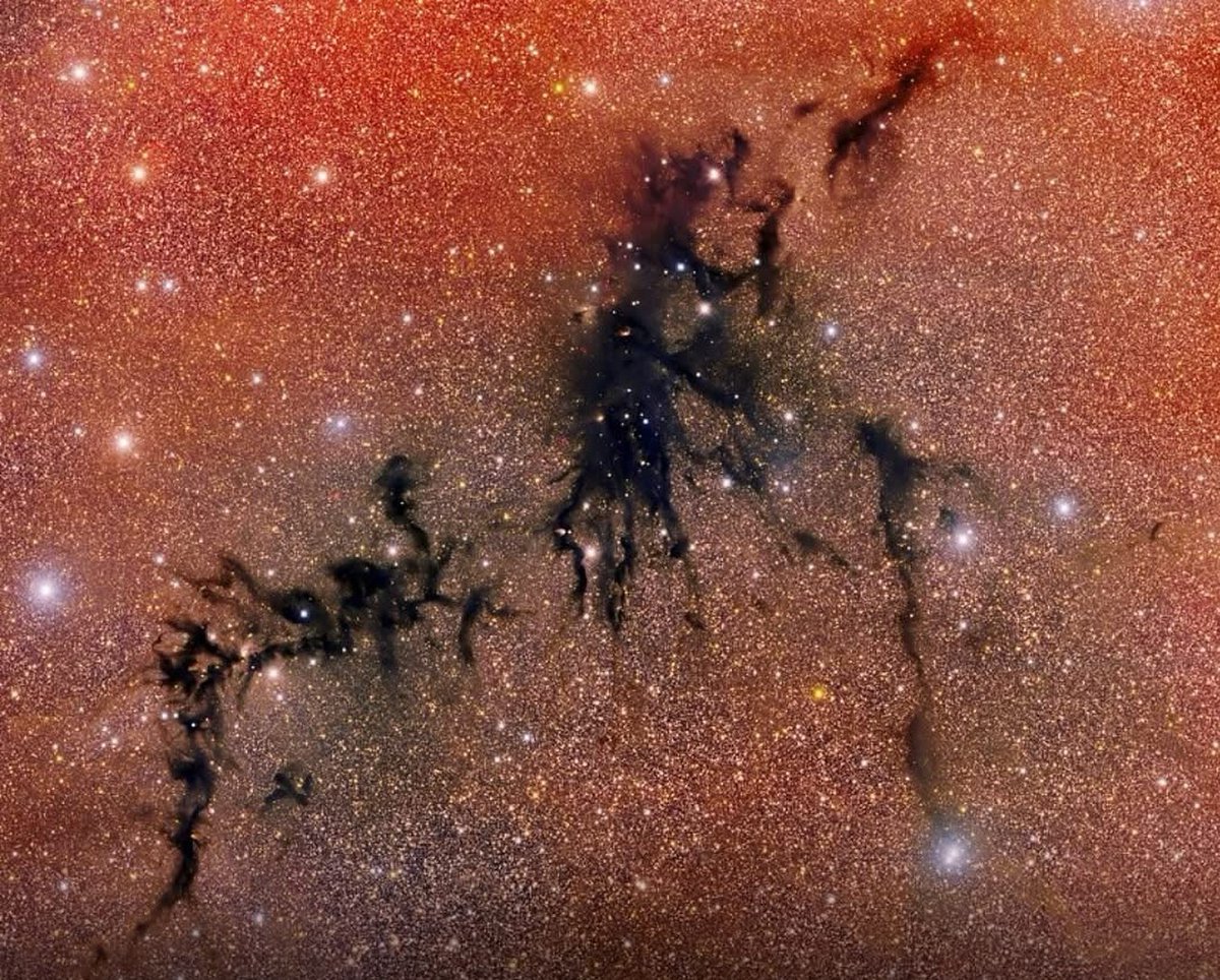 At first glance, this image looks like a dramatic tear in the fabric of the cosmos, a jagged, dark rift cutting through a vibrant, star-filled sky. But what appears to be a void is, in fact, one of the universe’s most active places: a stellar nursery hidden in plain sight. This