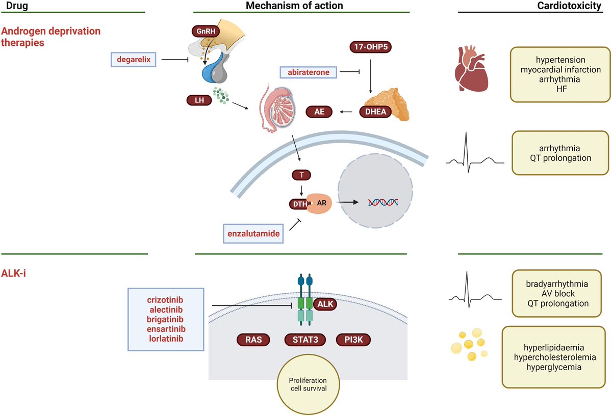 The Heart (@zheart11768530) on Twitter photo 🔴Use of new and emerging cancer drugs : what the cardiologist needs to know⤵️ State-of-the-Art #2024Review <a href="/ESC_Journals/">European Society of Cardiology Journals</a> #openaccess
🔹academic.oup.com/eurheartj/arti…
#Cardiology #FOAMed #MedEd #medstudent #paramedic #Cardiology #CardioEd #medtwitter #meded #CardioTwitter 🔴Use of new and emerging cancer drugs : what the cardiologist needs to know⤵️ State-of-the-Art #2024Review <a href="/ESC_Journals/">European Society of Cardiology Journals</a> #openaccess
🔹academic.oup.com/eurheartj/arti…
#Cardiology #FOAMed #MedEd #medstudent #paramedic #Cardiology #CardioEd #medtwitter #meded #CardioTwitter