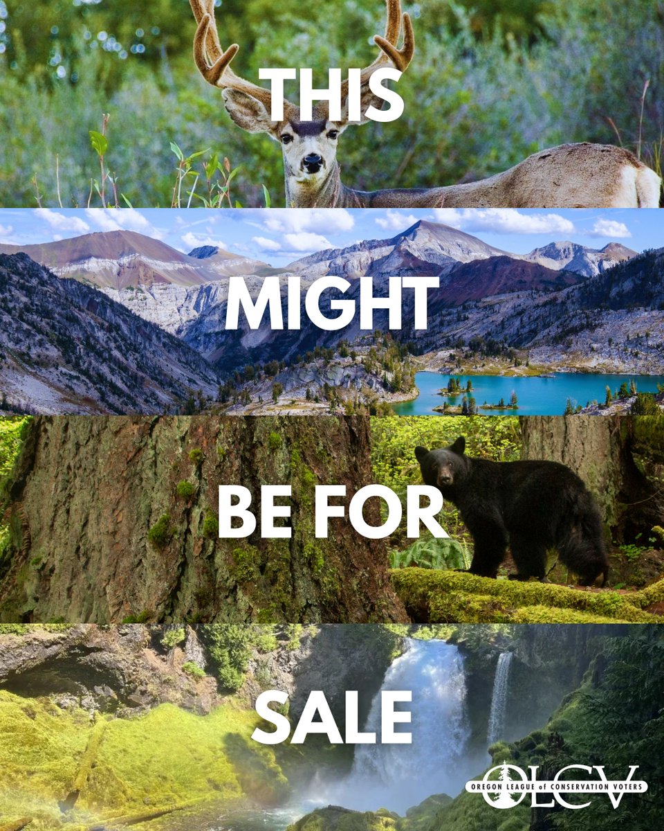 Oregon League of Conservation Voters tweet media