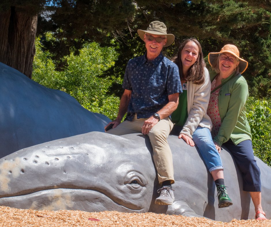 SantaCruzMuseum's tweet photo. 🌊 The pod has arrived! Tyrrell Park’s whale sculptures are officially open to the public. 🐋💙 Thank you to everyone who joined us for the opening ceremony, we’re thrilled to see you #JointhePod and dive into play! https://t.co/koF9CERudu