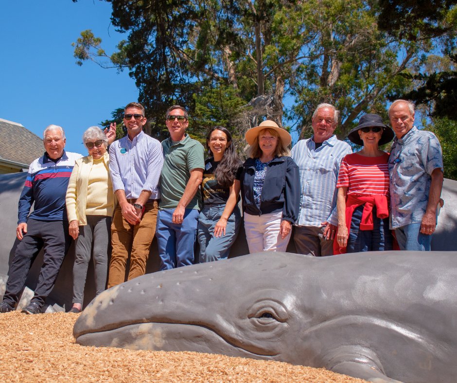 SantaCruzMuseum's tweet photo. 🌊 The pod has arrived! Tyrrell Park’s whale sculptures are officially open to the public. 🐋💙 Thank you to everyone who joined us for the opening ceremony, we’re thrilled to see you #JointhePod and dive into play! https://t.co/koF9CERudu
