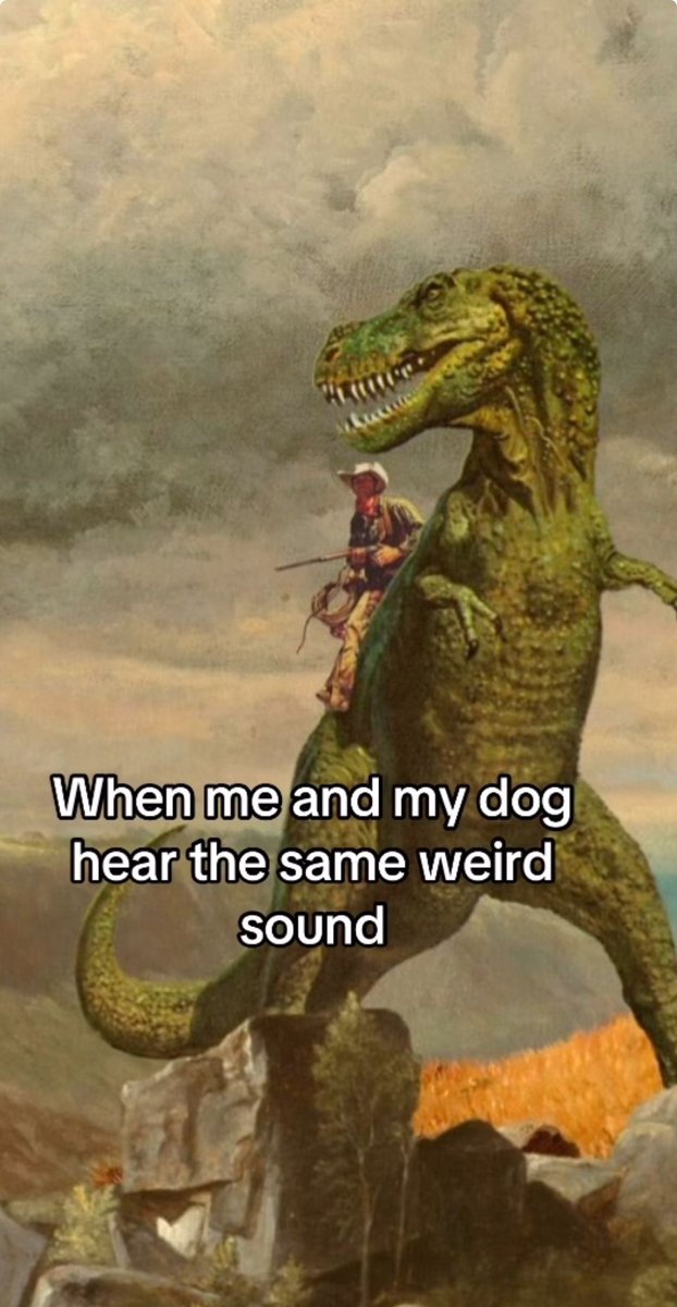 Wild TikToks (@wildtiktokss) on Twitter photo 