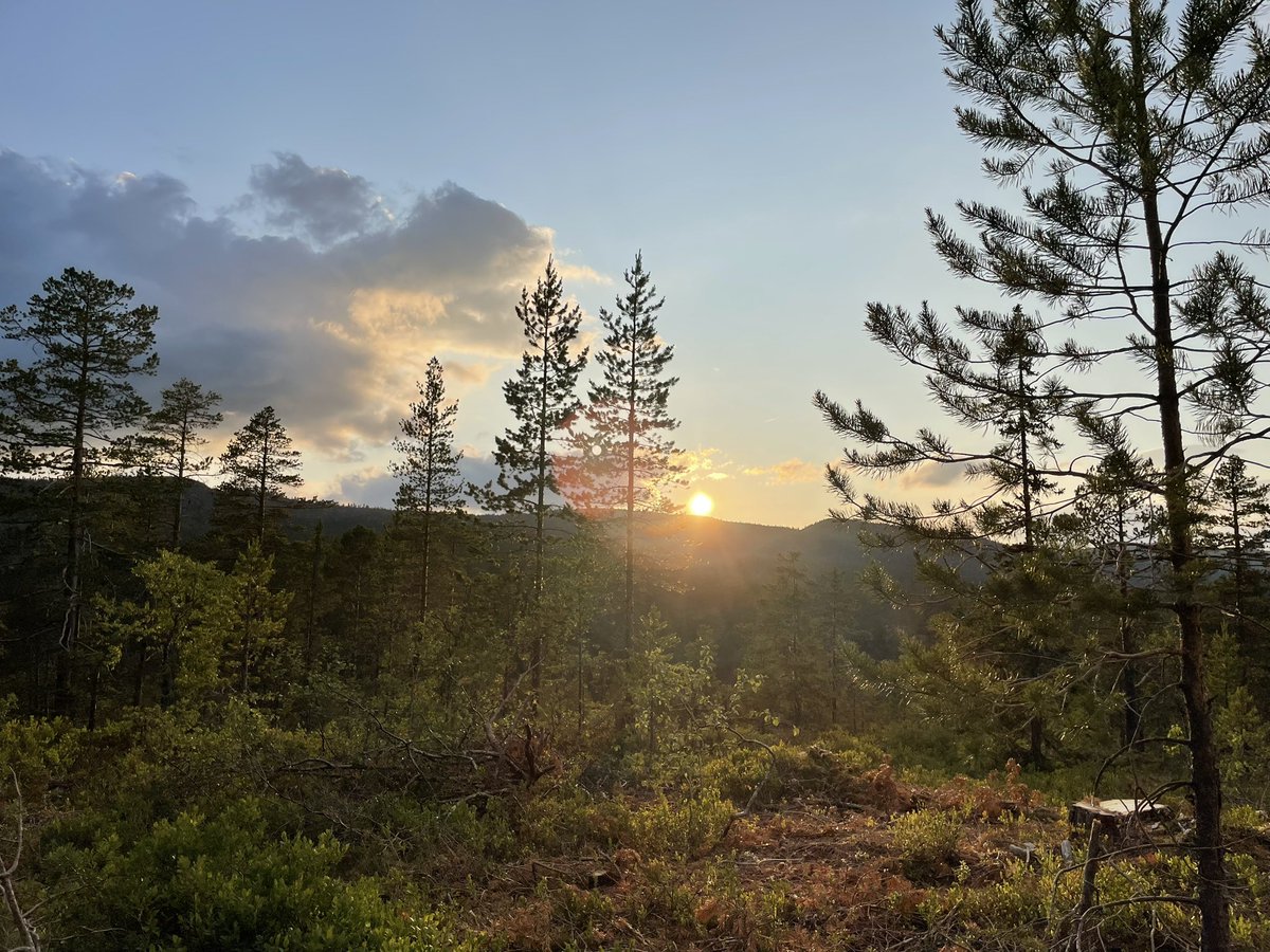 Have a nice weekend 😊💕🦋🦊