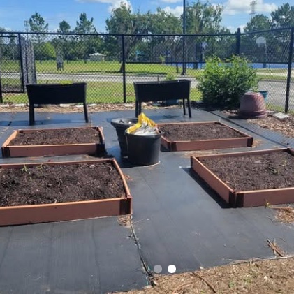 Our Green Team is at it this summer planting for the future🌎