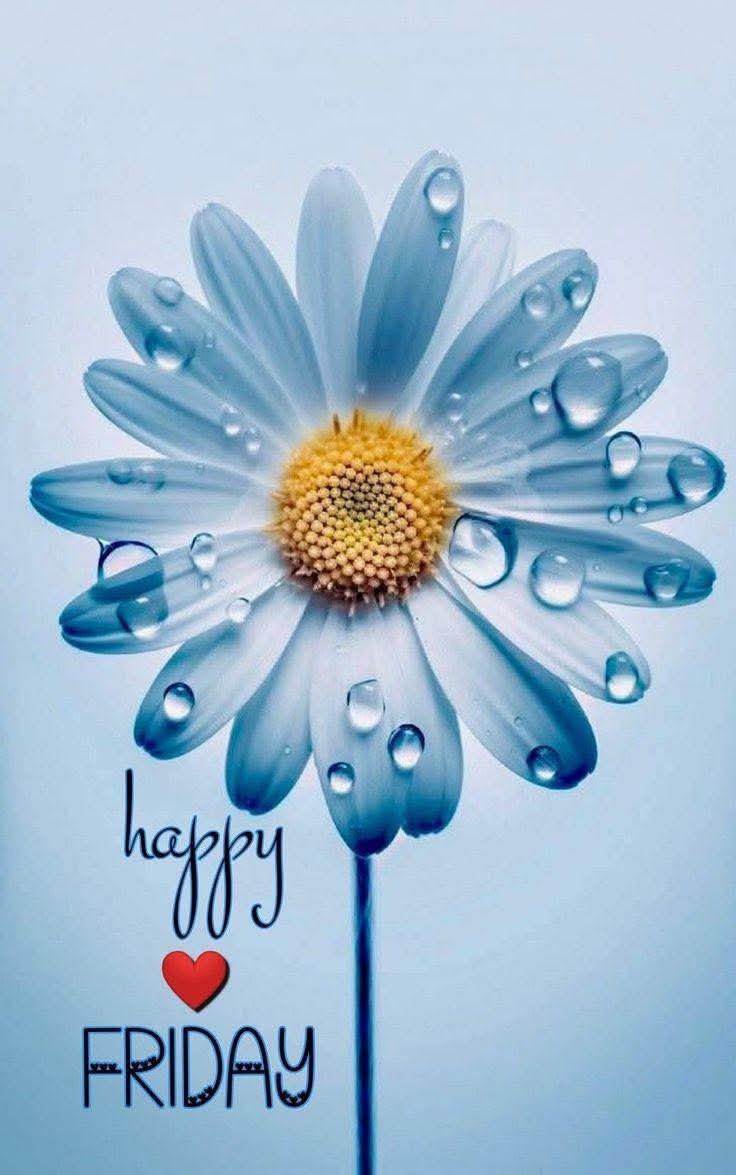😊 Happy Friday friends &amp;
kindred spirits...Enjoy your 
afternoon and weekend!🌸
xo Souli