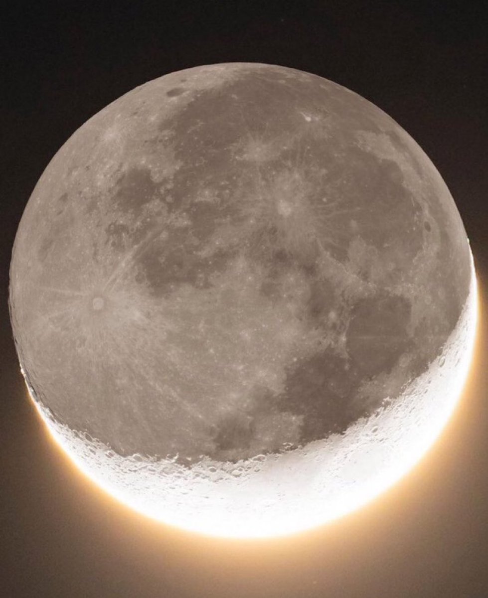 MOON LOVER tweet media