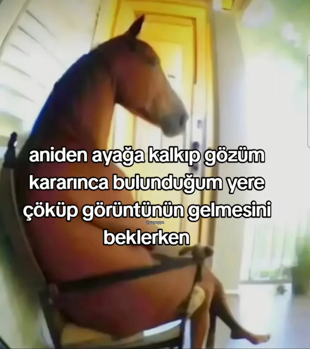 ÖZGE (@ozgeppn) on Twitter photo 