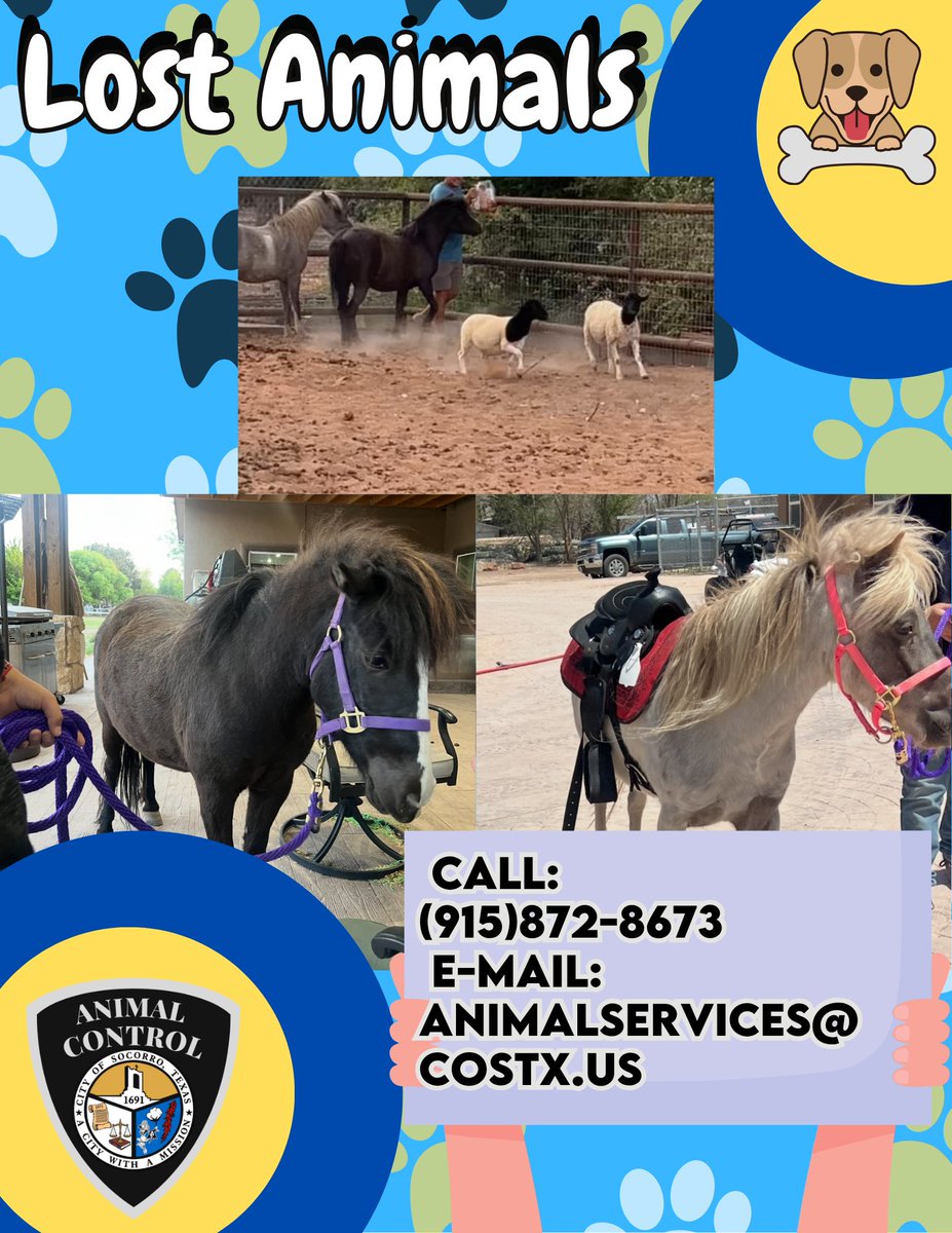 We need help from the community to locate these animals! If you have any information that could help us reunite them with their family, please contact our department at (915) 872-8673🐴