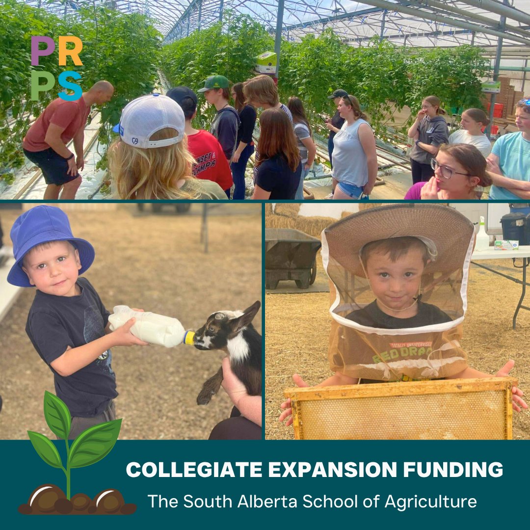 Prairie Rose SD8 (@prairierosesd8) on Twitter photo PRPS has been awarded $750,000 in funding to expand collegiate programming for a new stream focused on agriculture pathways. This program will offer hands-on education in Agro & Environ Sciences, Horticulture & Greenhouse Mgmt & Skilled Trades. <a href="/ABDanielleSmith/">Danielle Smith</a> <a href="/demetriosnAB/">Demetrios Nicolaides 🇨🇦 🇨🇾</a> PRPS has been awarded $750,000 in funding to expand collegiate programming for a new stream focused on agriculture pathways. This program will offer hands-on education in Agro & Environ Sciences, Horticulture & Greenhouse Mgmt & Skilled Trades. <a href="/ABDanielleSmith/">Danielle Smith</a> <a href="/demetriosnAB/">Demetrios Nicolaides 🇨🇦 🇨🇾</a>