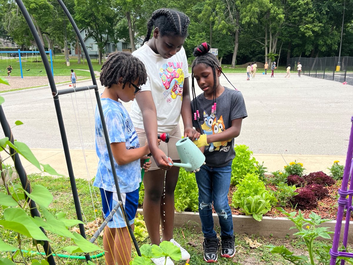 MOCharterSchool's tweet image. 📸 This Week's MO Charter Schools Photo Roundup:
🌞 Gordon Parks: Wrapping up summer school fun
🌿 @afiakc1: Garden time with students & volunteers
📖 @GatewaySciElem: Story time at Forest Park
✏️ @GCISchools: Middle schoolers working hard
#CharterEducation #MOChartersWork