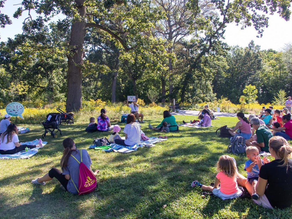 MOCharterSchool's tweet image. 📸 This Week's MO Charter Schools Photo Roundup:
🌞 Gordon Parks: Wrapping up summer school fun
🌿 @afiakc1: Garden time with students & volunteers
📖 @GatewaySciElem: Story time at Forest Park
✏️ @GCISchools: Middle schoolers working hard
#CharterEducation #MOChartersWork