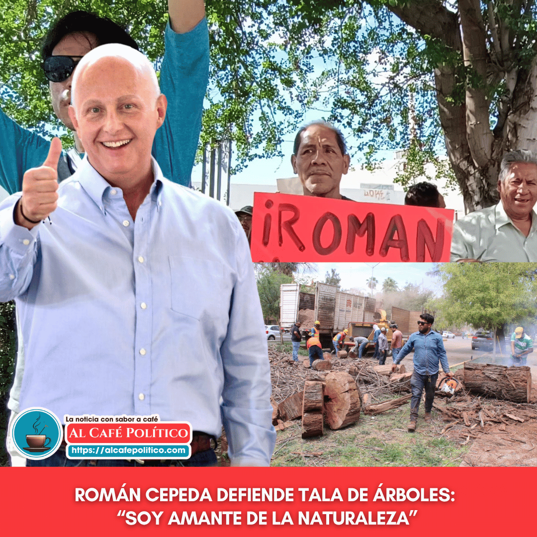 AlCafepolitico's tweet photo. 🌳 “Soy amante de la naturaleza”, dijo @RomanCepeda tras protestas por tala en Torreón. Defiende obras y afirma que han plantado +30 mil árboles. ¿Y los que tiran? “Están secos”, dijo. Las obras siguen. 👉 https://t.co/7PB7S6uAKL https://t.co/3yaiAyqkgF