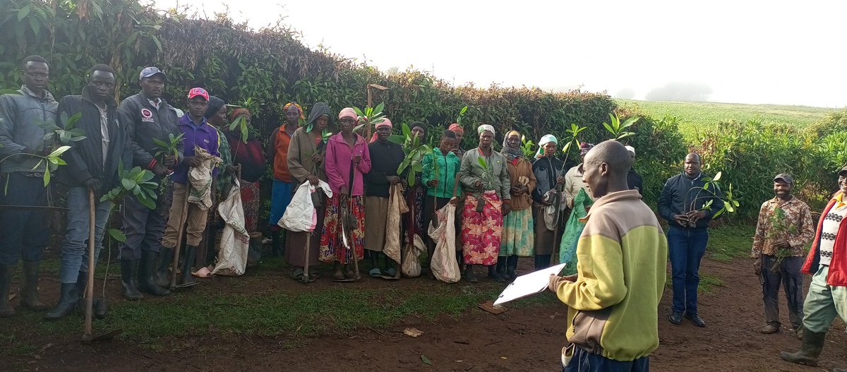 The second phase of our restoration mission begins — a journey fueled by collective action and renewed purpose.The community remains a key stakeholder in this journey and their active participation continues to be central to the success and sustainability of our efforts."