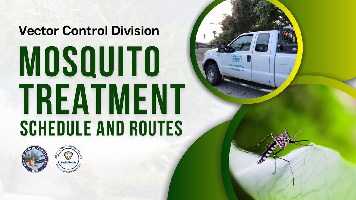 Vector Control is actively working to manage mosquito populations across the city. See the latest treatment schedule and routes at cctx.info/3ZBDJxd.

Help keep your community safe by:
▪ Trimming grass and shrubs
▪ Draining standing water from empty cans, tires, buckets,