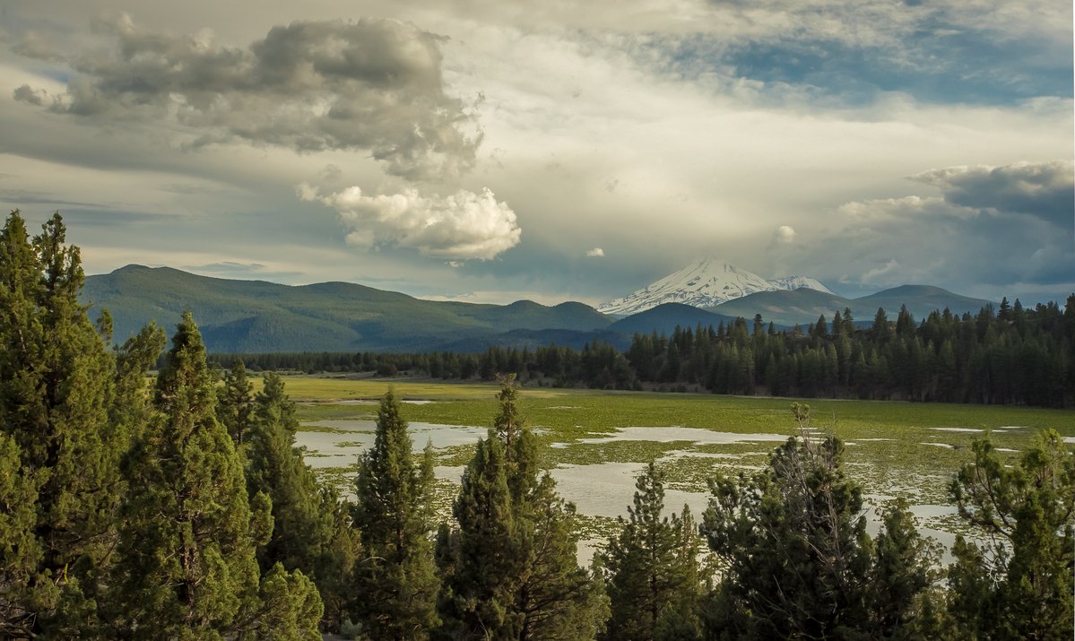 RMEF's tweet photo. 🚨THANK YOU! Two days since our call to action &amp; @SenateGOP @SenateDems @HouseGOP &amp; @HouseDems_HQ members received 14,205 messages to NOT sell public lands via the budget reconciliation bill. Not weighed in yet? Go here to do so➡️https://t.co/E2jx0oeuib https://t.co/00m3QretIk
