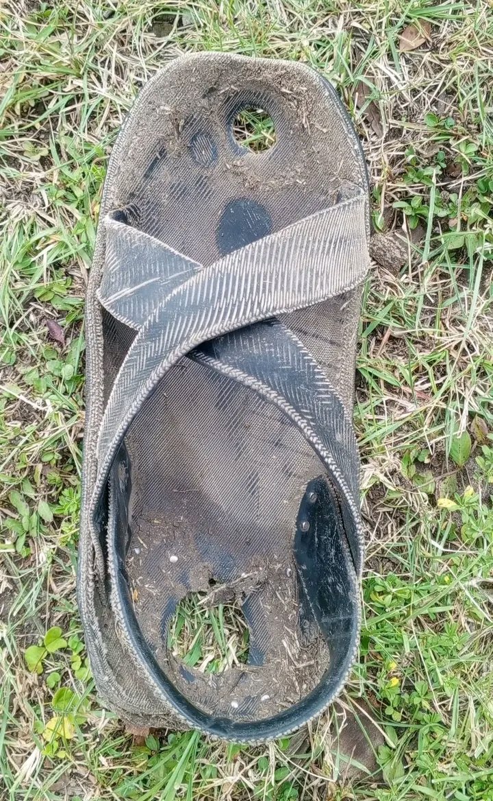 A very faithful shoe