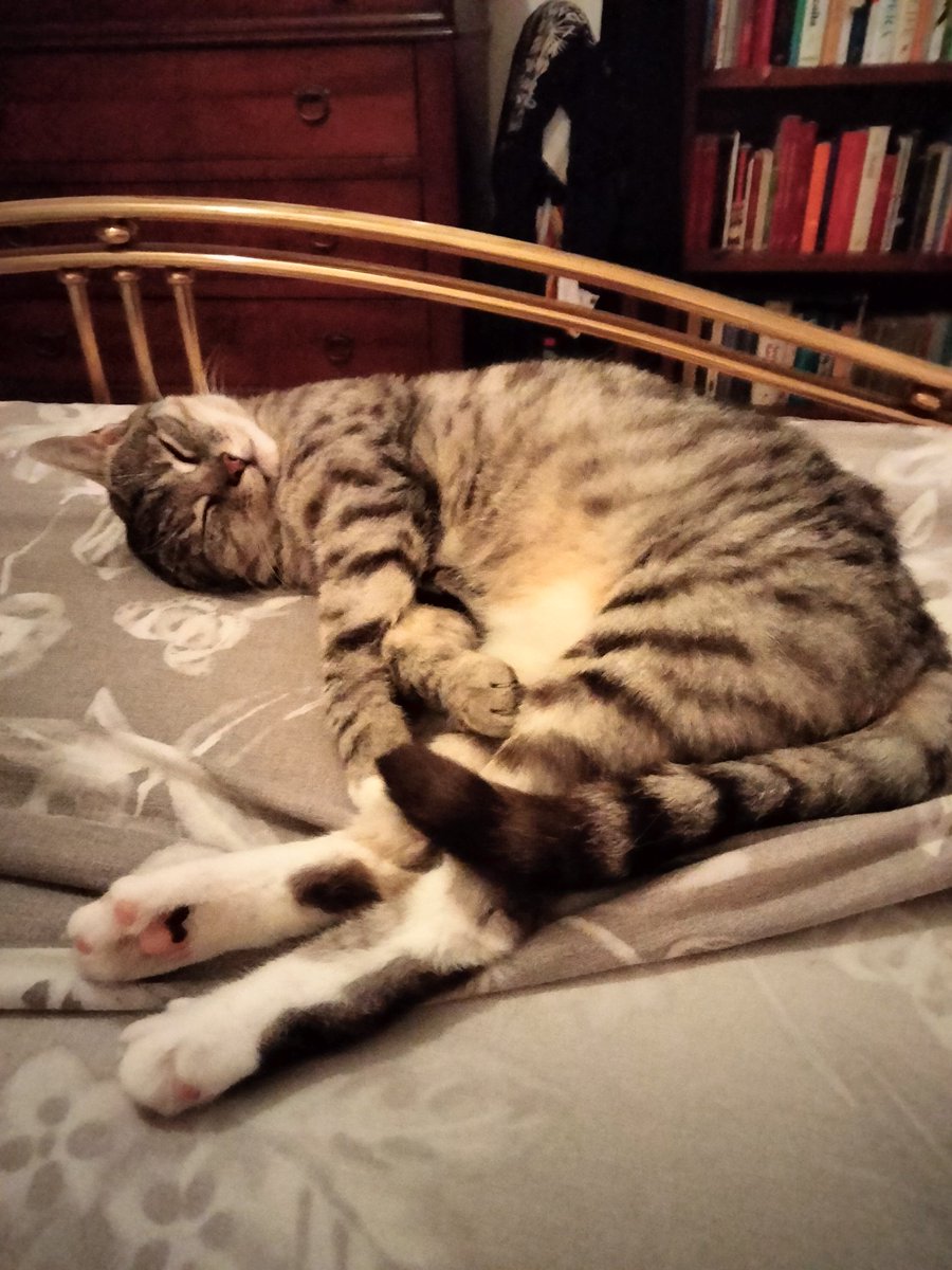 Buonanotte amici vecchi e nuovi 🥰🤫