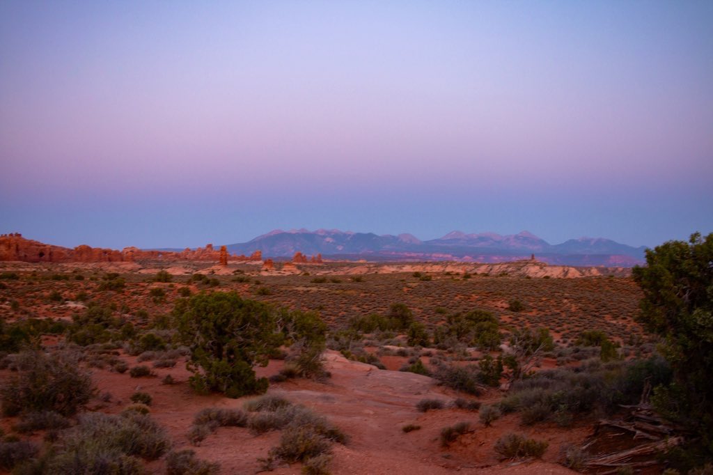 swrightCO's tweet image. Some things are worth more than money