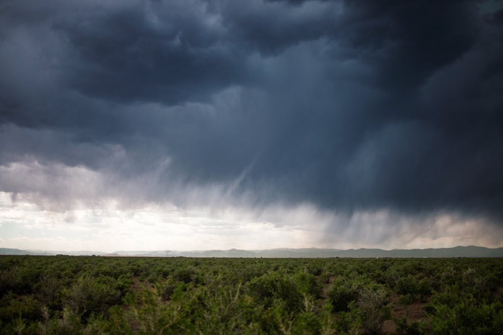 swrightCO's tweet image. Some things are worth more than money