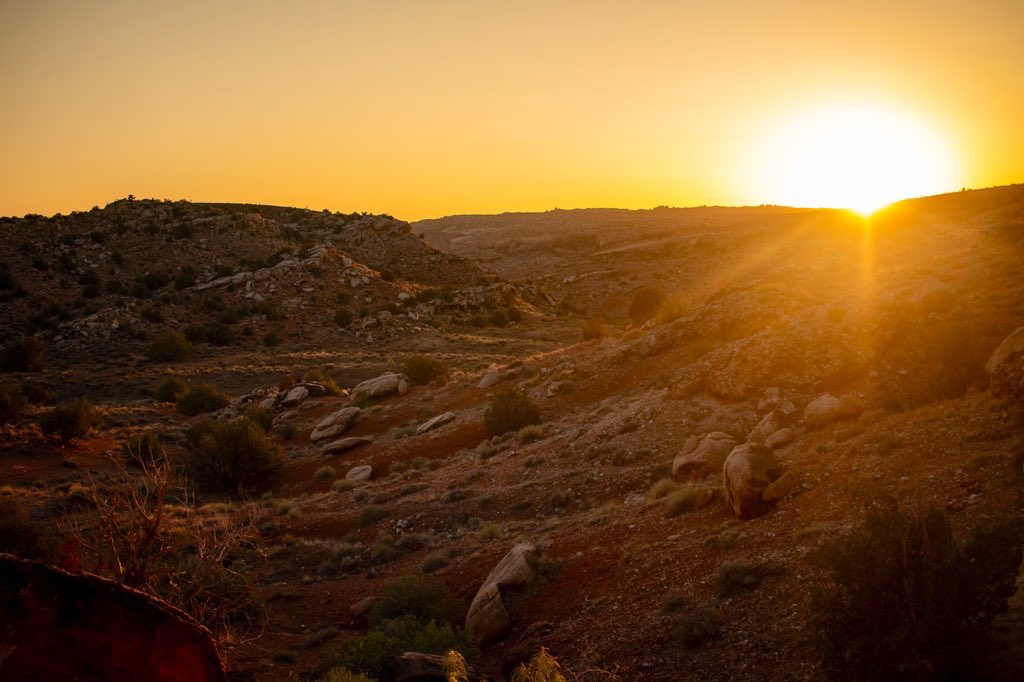 swrightCO's tweet image. Some things are worth more than money