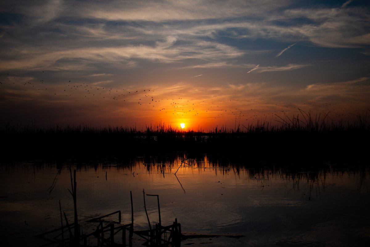 swrightCO's tweet image. Some things are worth more than money