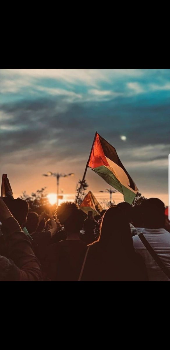 <a href="/Yara_and_cats/">😽Kingdom of mercy🇵🇸</a>