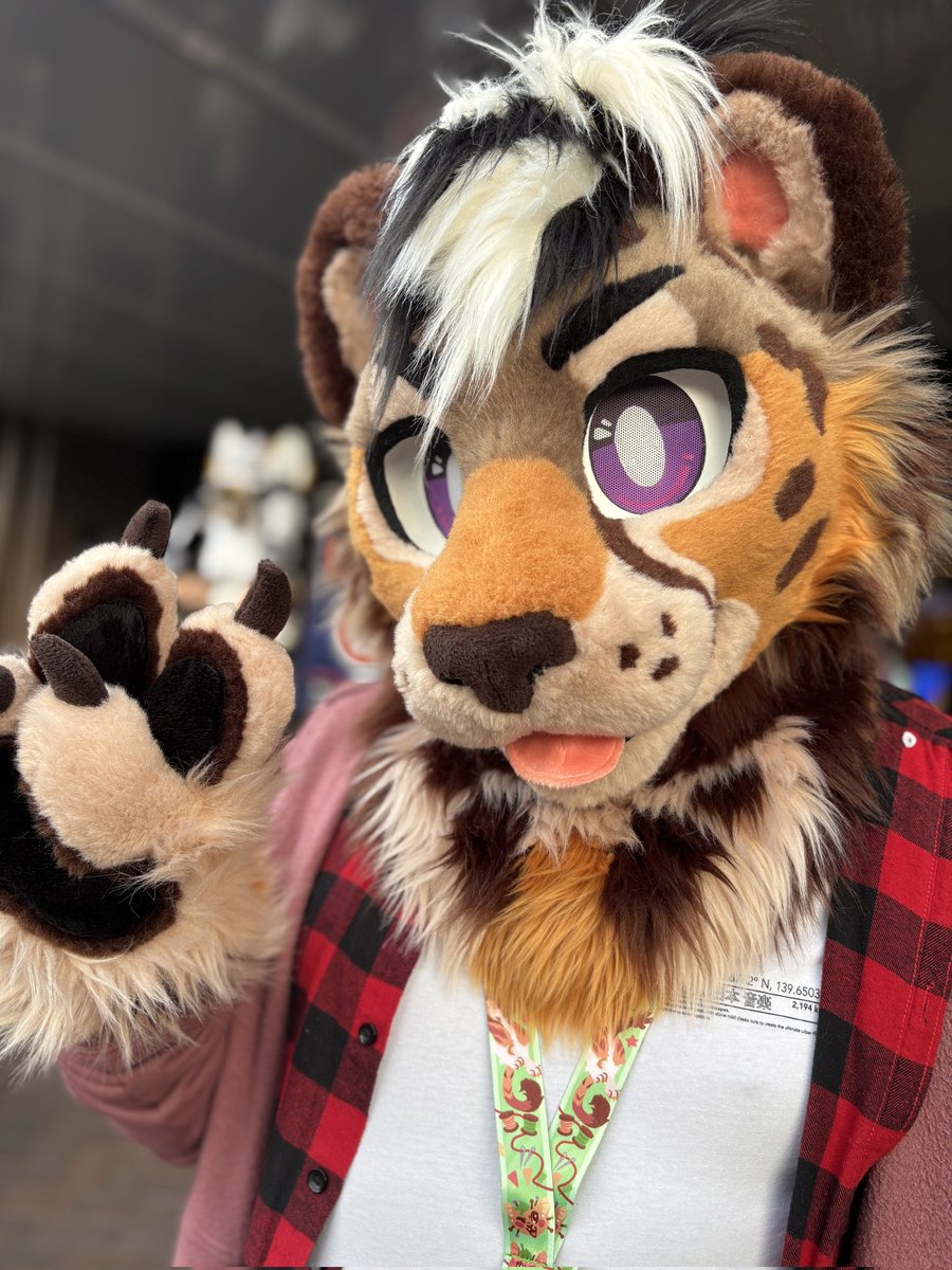 JaxSheppy / Ty ๐ฑ / Fennel ๐ฏ (@sheppyjax) on Twitter photo Happy #FursuitFriday ๐งก Happy #FursuitFriday ๐งก