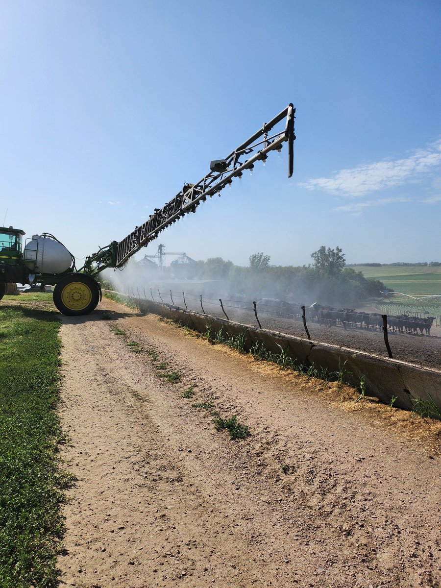 It's not dumb if it works.