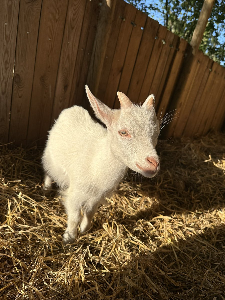 Oscar Fogelström™ (@oscarfogelstrm) on Twitter photo 