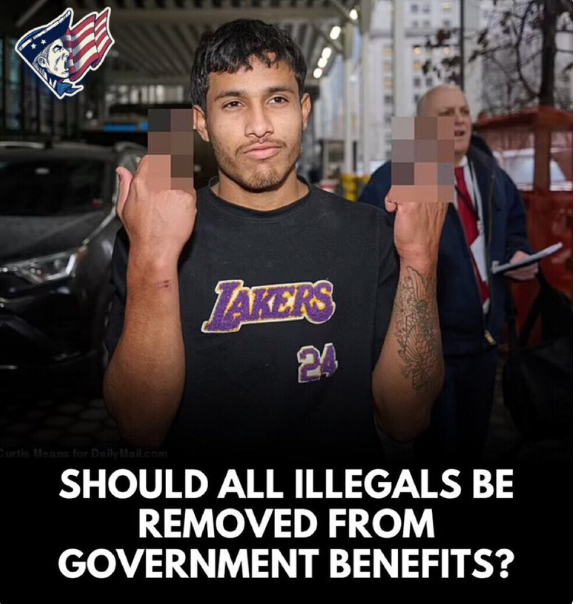 mirnamss's tweet photo. Let’s all be honest, illegal should not get a single discontinued penny of taxpayer dollars.

And nobody should be physically able to enter this country illegally. https://t.co/0heaV426yT