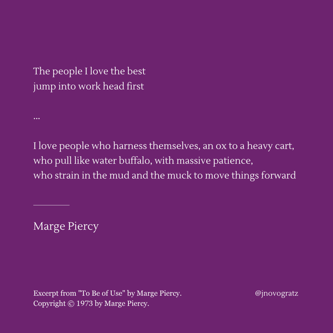 I have sometimes felt like a buffalo walking deliberately through mud in 2025, shoulders pushing the work, all of me engaged and making slow but steady progress, sometimes stumbling but determined. I want to be used up when I die and it is years like this that remind me to keep