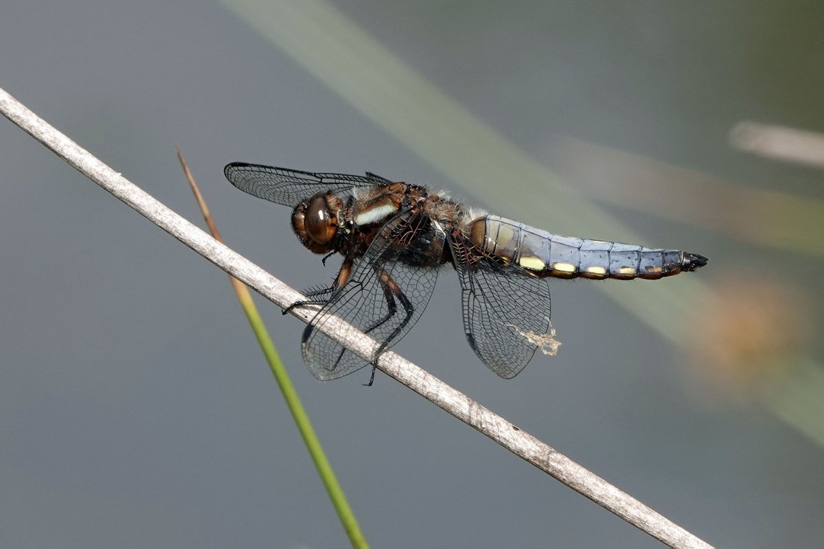 Alan Brown tweet media