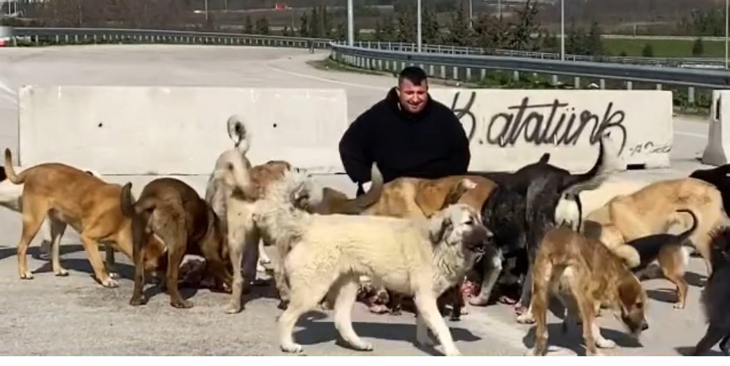 EWemrew's tweet photo. Eğer Google Karamelek beslemede yazarsan verdiğimiz röportajları yaptığımız eylemleri , 10 yıl boyunca adayışımızı göreceksin şimdilerde izmirde bir yaşam alanı kurduk 9 aydır irmek irmek ilerliyoruz , ancak arkamızda kimse yok eşim ve 3 yaşında kızımla kurtardığım onca çocuğumla https://t.co/2o11V9fQOo