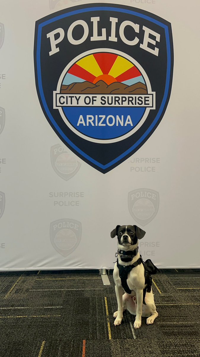 Surprise_PD's tweet image. 🐾 It’s Take Your Dog to work day and guess who never misses a shift? Kismet, Officer Scott’s four legged partner and SPD morale booster!
Adopted by Officer Scott, Kismet now serves as our beloved facility dog. Spreading smiles, helping reduce stress and reminding us that…