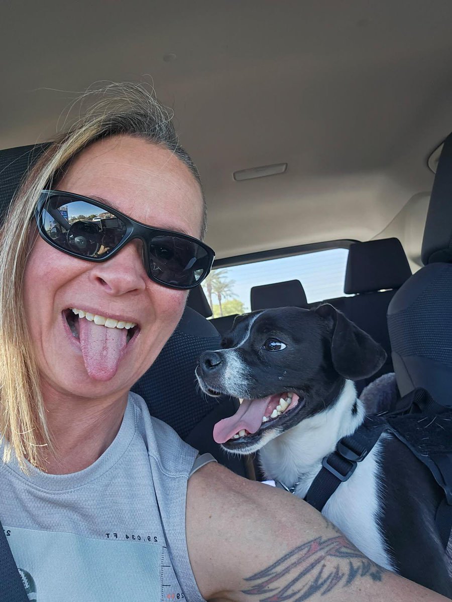 Surprise_PD's tweet image. 🐾 It’s Take Your Dog to work day and guess who never misses a shift? Kismet, Officer Scott’s four legged partner and SPD morale booster!
Adopted by Officer Scott, Kismet now serves as our beloved facility dog. Spreading smiles, helping reduce stress and reminding us that…