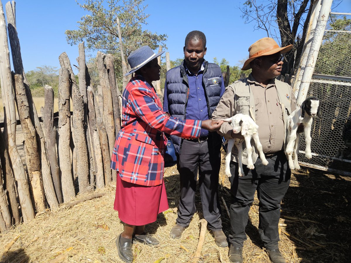 The Permanent Secretary, Prof. Dr. O. Jiri, officiated  the Goat farming field day and research dissemination at Mr. Sibanda's plot in Daluka ward, Lupane .He highlighted  that the project is <a href="/obertjiri/">Obert Jiri</a> <a href="/HeraldZimbabwe/">The Herald Zimbabwe</a> <a href="/ZBCNewsonline/">ZBC News Online</a> <a href="/ZTNPrime/">ZTN</a> <a href="/zfu_official/">ZFU_Official</a> <a href="/RadioZim263/">Radio Zimbabwe Official</a>