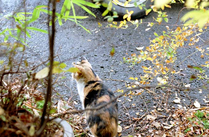 雨の日の釣り師-5383
⇒ ameblo.jp/xml-xsl/entry-… #アメブロ <a href="/ameba_official/">Ameba Topics</a>より