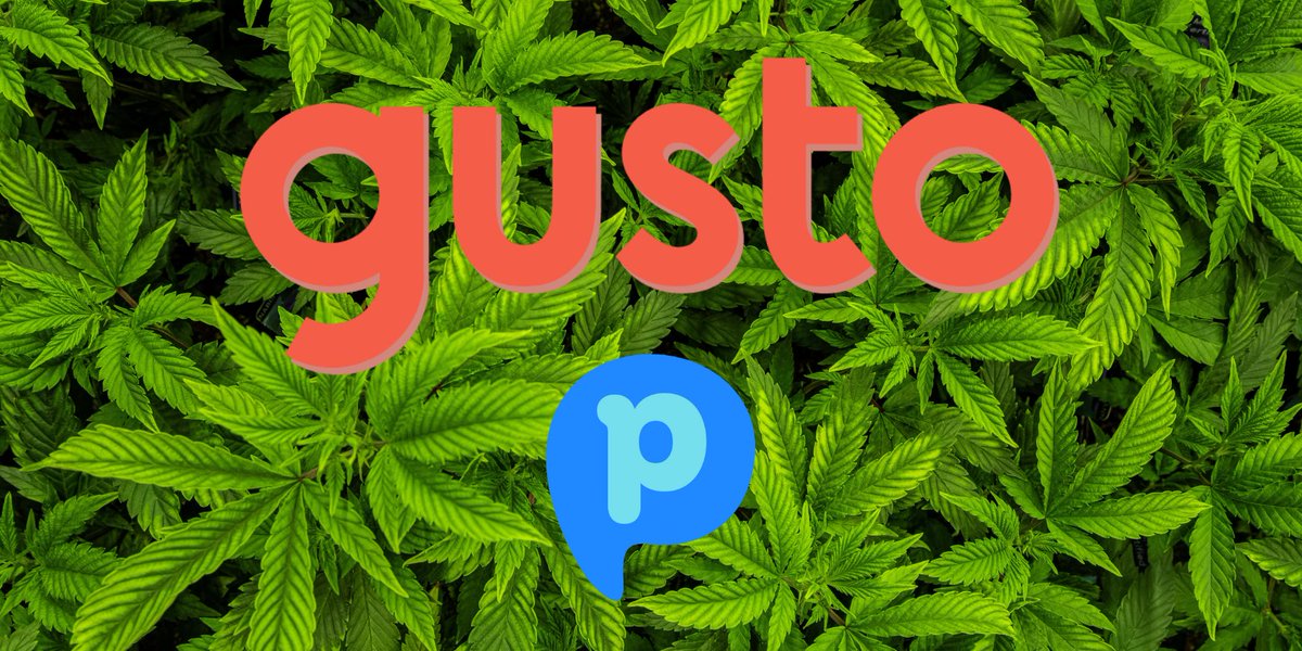 payrio_hq's tweet image. Since PayRio&apos;s launch in 2022, we&apos;ve relied on Gusto to fuel our growth. Exciting news: they now support plant-touching #cannabis businesses!

EXCLUSIVE OFFER ⭐: THREE FREE MONTHS of their Cannabis Business Plan through PayRio!

Details: gusto.com/go/bd/payrio

#HRSolutions