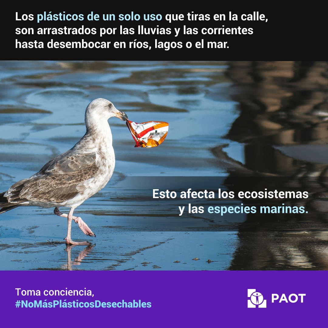 🥤🎈🍴Reducir la contaminación por plásticos de un solo uso está en nuestras manos 🤓

☝️Toma conciencia, #NoMásPlásticosDesechables ❌ #PAOT