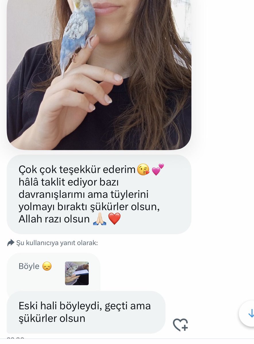 Ayla kuş’a Healy ile frekans gönderimleri yapmıştık, artık tüylerini yolmayı bırakmış. Günün en güzel haberi 🥰🐥
Şifaya ihtiyacı olan canlar için ücretsiz seanslar yapıyorum tekrar hatırlatmış olayım, yazabilirsiniz bana. ❤️