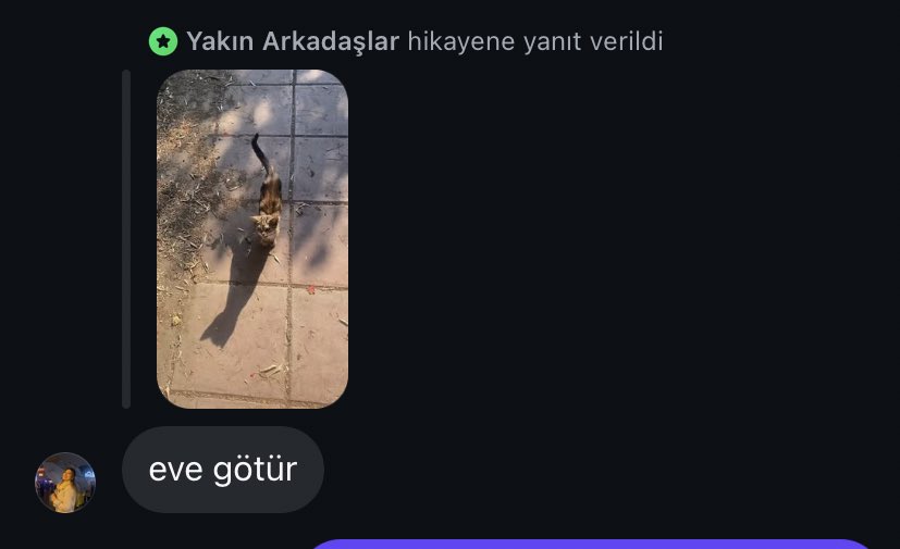 aslan_sez's tweet photo. x bir kedi paylaşmışımdır https://t.co/BAUFDyBft5
