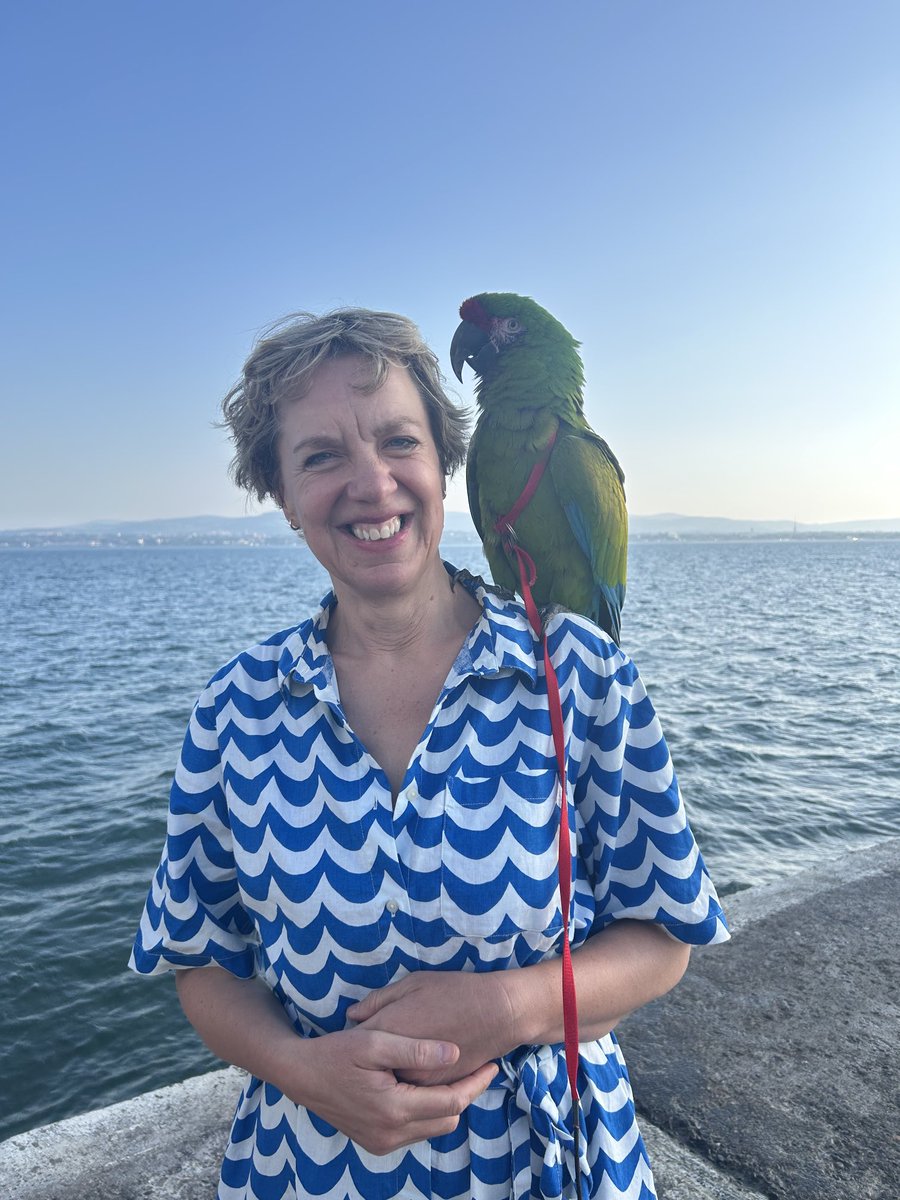 ivanabacik's tweet photo. Stunning evening for a swim at #HalfMoon #Poolbeg #SouthWall with Rocco the Macaw.
@HalfMoonSWPC https://t.co/d0VRsZ5toD