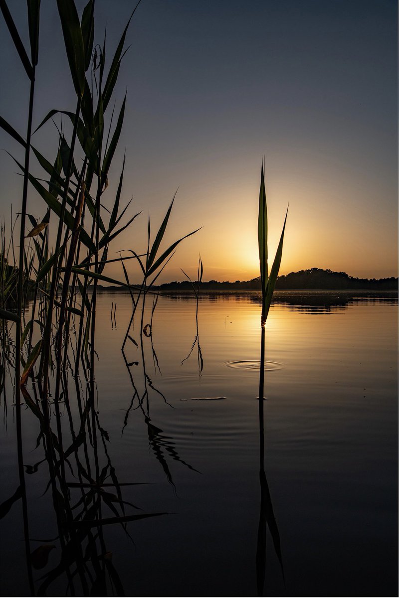JakubWende's tweet image. Mazury, zachody słońca… najpiękniejsze ❤️🇵🇱