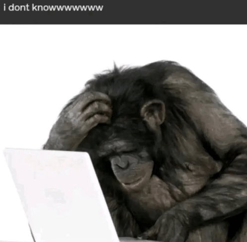 SmthInTheMyst's tweet image. Me every time I see one of these fill in the blank qrts